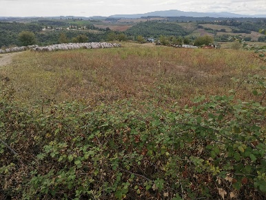 Foto Terreno agricolo a Poggibonsi di 8400 m² in vendita