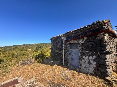 Foto Terreno agricolo a Belpasso di 5000 m² in vendita