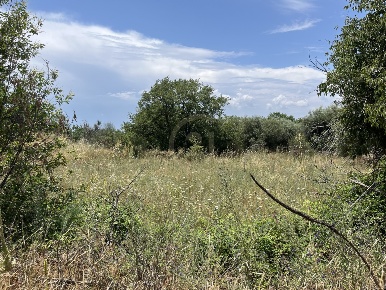 Foto Terreno agricolo in sc scorsone, Belpasso di 19698 m² in vendita