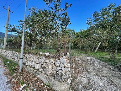 Foto Terreno agricolo a Avella di 5000 m² in vendita