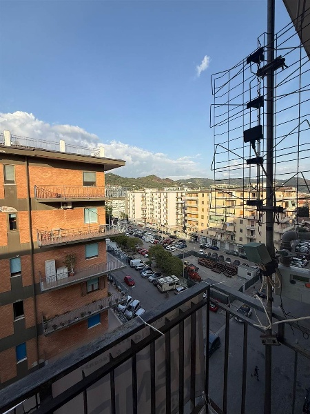 immagine annuncio 10 di 14