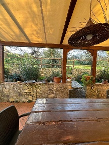 Foto Casa indipendente in via pietro nenni 14, Montescudaio di 240 m²