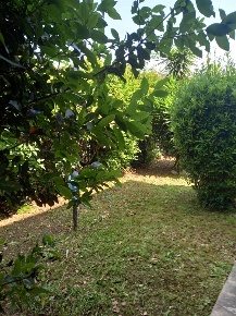 Foto Villa unifamiliare a Latina Centro Storico di 190 m² con 8 locali
