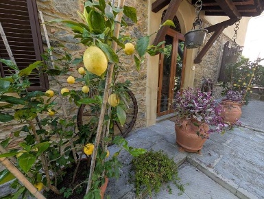 Foto Casa indipendente a Massarosa Massarosa Paese di 220 m² con 8 locali