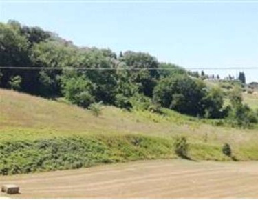 Foto Terreno agricolo in Strada Provinciale, Monte San Pietrangeli Centro