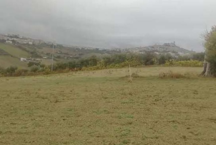 Foto Terreno agricolo in Via Castiglionese, Fermo Centro di 5070 m²