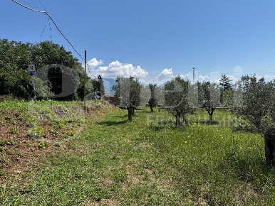 Foto Terreno agricolo in Via SP 149 snc, Alife di 3047 m² in vendita