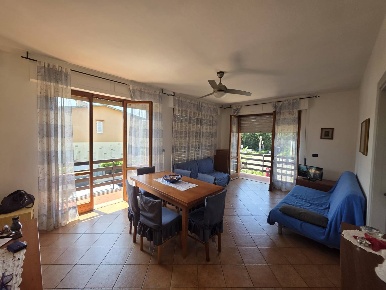 Foto Appartamento a Pisa di 55 m² con 3 locali in affitto