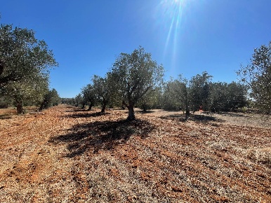 Foto Rustico in Via Vecchia Lecce, Andrano di 40 m² con 2 locali in vendita