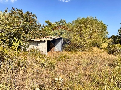 Foto Terreno agricolo in VIA DELLE ORTENSIE, Pedara Centro di 4655 m²
