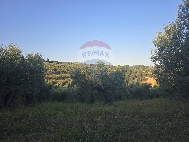 Foto Terreno agricolo in contrada selva stella, Moscufo di 29970 m²