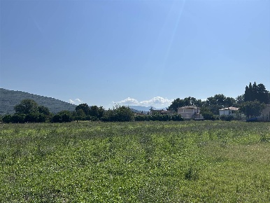 Foto Terreno edificabile in Via Ponte Pazienza  snc, Spello Centro