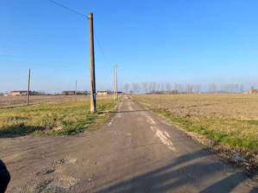 immagine annuncio 9 di 14