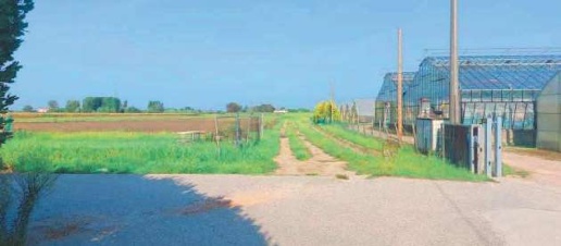 Foto Terreno edificabile in Via San Giuseppe, Chioggia di 43352 m²
