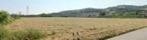 Foto Terreno edificabile in Via delle Fabbriche, Montecalvo in Foglia