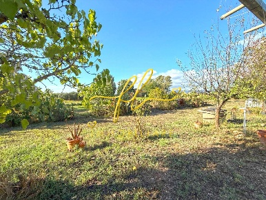 Foto Terreno agricolo a Cecina Cecina Centro di 2411 m² in vendita