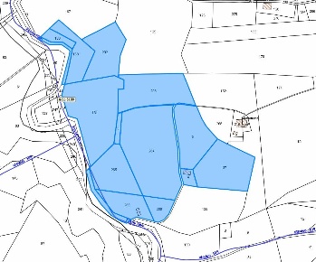 Foto Terreno agricolo in via dei colli, Montottone di 59460 m² in vendita