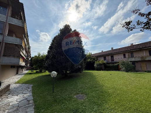 immagine annuncio 5 di 14
