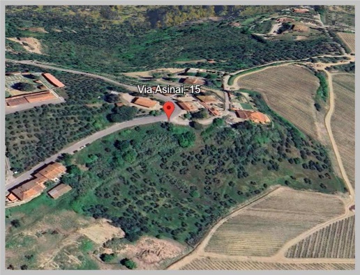 immagine annuncio 2 di 4