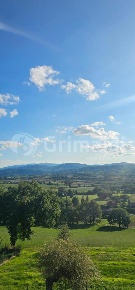 Foto Terreno agricolo in Via Rigali 1, Gualdo Tadino Rigali di 40000 m²
