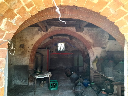 immagine annuncio 12 di 15