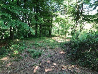 Foto Rustico a Tavernerio di 50 m² con 2 locali in vendita