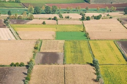 Foto Terreno agricolo a Santa Maria a Monte di 2530 m² in vendita