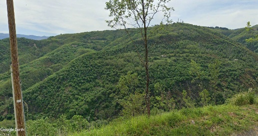 Foto Terreno agricolo a Dipignano in vendita