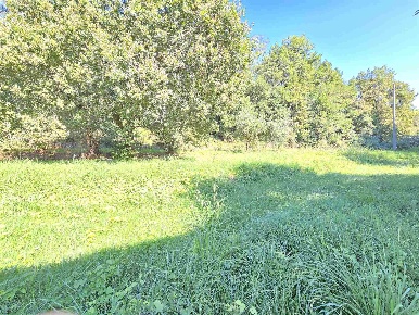 Foto Terreno edificabile a Massarosa Bargecchia, Corsanico di 2000 m²