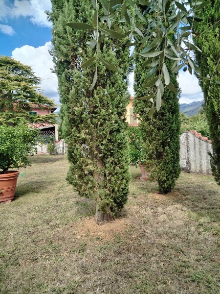 immagine annuncio 10 di 13