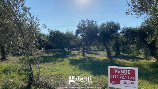 Foto Terreno residenziale in Contrada San Giorgio 139, Treglio di 4730 m²