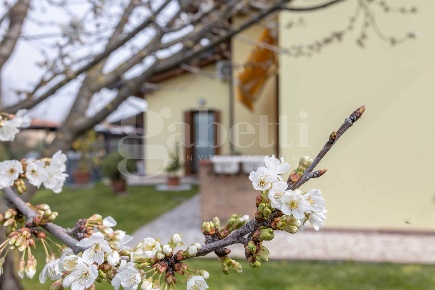 Foto Villa singola in Via Milano 4, Morsano al Tagliamento di 190 m²