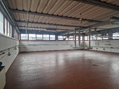 Foto Laboratorio in via giorgio ambrosoli, Scandicci Via Pisana di 183 m²