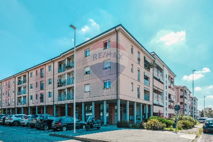 Foto Negozio in via bruno raimondi 3, Busto Arsizio Madonna Regina