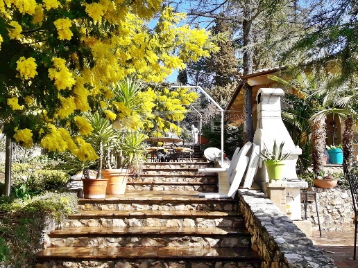 immagine annuncio 11 di 15