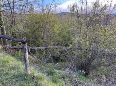 Foto Terreno agricolo in Località La Pilla, Monzuno di 14363 m² in vendita
