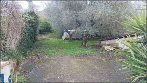 immagine annuncio 3 di 4