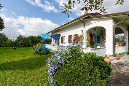 Foto Villa unifamiliare a Seravezza Ripa Pozzi Querceta Ponterosso