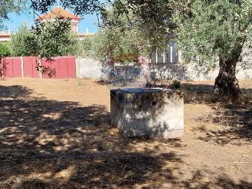 immagine annuncio 8 di 14
