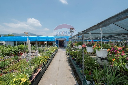 Foto Cessione attività in Via Vecchia, Iseo di 1400 m² in vendita