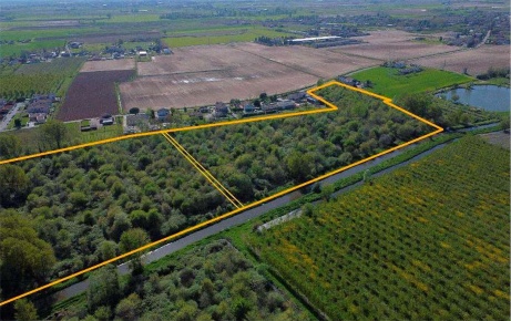 Foto Terreno agricolo in Località San Vito, Cerea Centro di 57470 m²