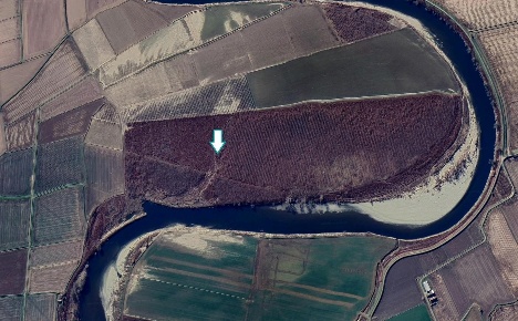 Foto Terreno agricolo a Rosasco Centro in vendita