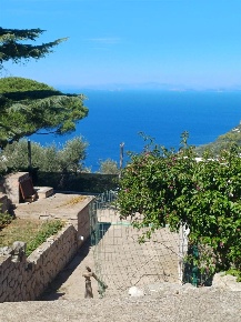 Foto Rustico a Anacapri di 70 m² con 3 locali in vendita