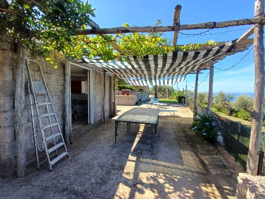 immagine annuncio 4 di 7