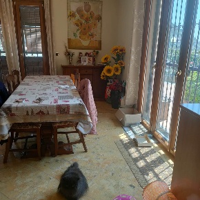 Foto Villa bifamiliare a Camporosso Centro di 187 m² con 6 locali