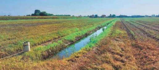 Foto Terreno edificabile in Via San Giuseppe, Chioggia di 43352 m²