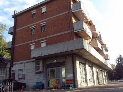 immagine annuncio 1 di 7
