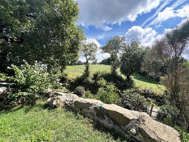 Foto Villa bifamiliare in Località Poggio Valentine, Scansano di 140 m²