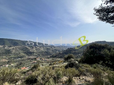 Foto Terreno edificabile in Strada Tuvu snc, Vallebona di 273 m² in vendita