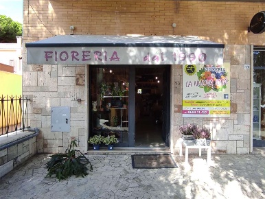 Foto Negozio in Via Flavia, Ladispoli Centro di 80 m² con 2 locali